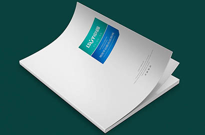 巴东县样本册设计：以严谨逻辑，展现城市产业的硬核实力